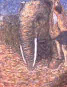 elephant  by Austin Manchester
