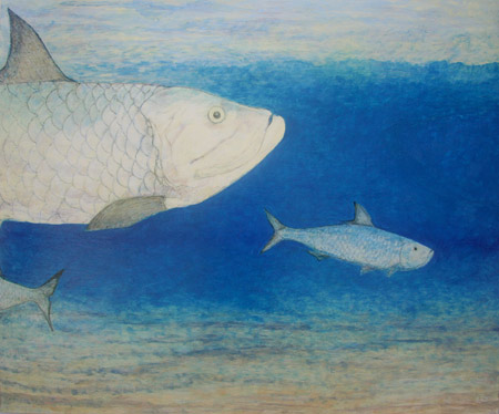 Kite 2